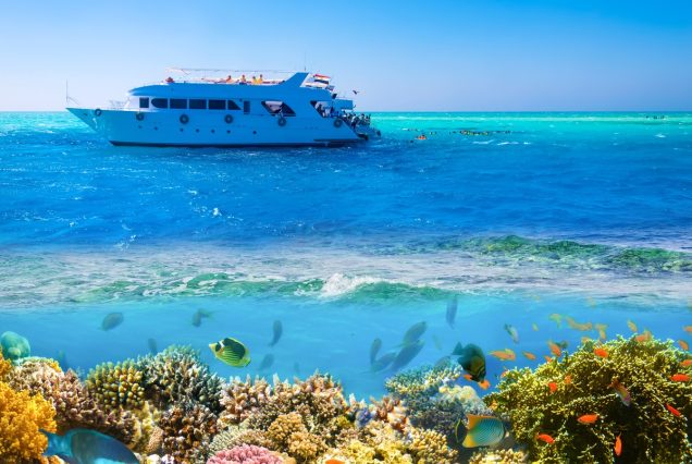 Unterwasser- und Überwasser-Ansicht einer weißen Motoryacht auf dem türkisblauen Roten Meer mit einem farbenfrohen Korallenriff und tropischen Fischen im Vordergrund